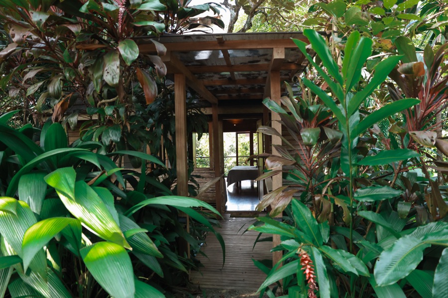 Garden walkway leading to the Jungle Canopy Bungalow